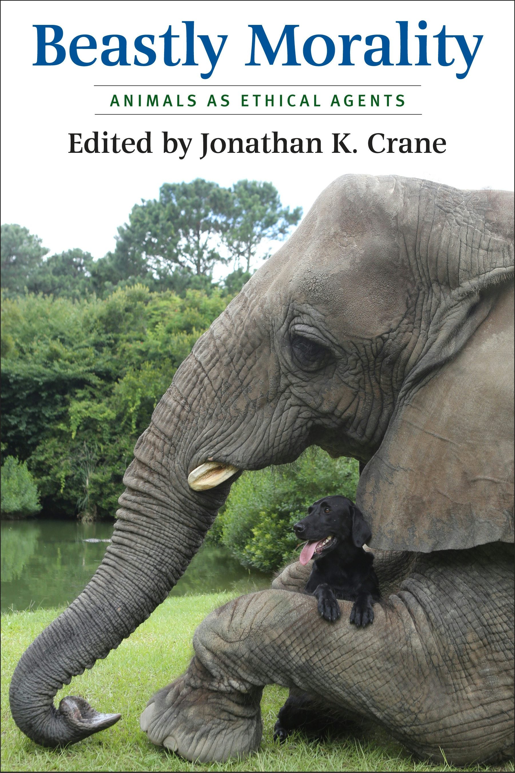 Book cover image for Beastly Morality ISBN: 9780231174169